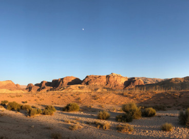 Desert